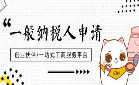 注册一家普通公司和注册一般纳税人公司有什么区别